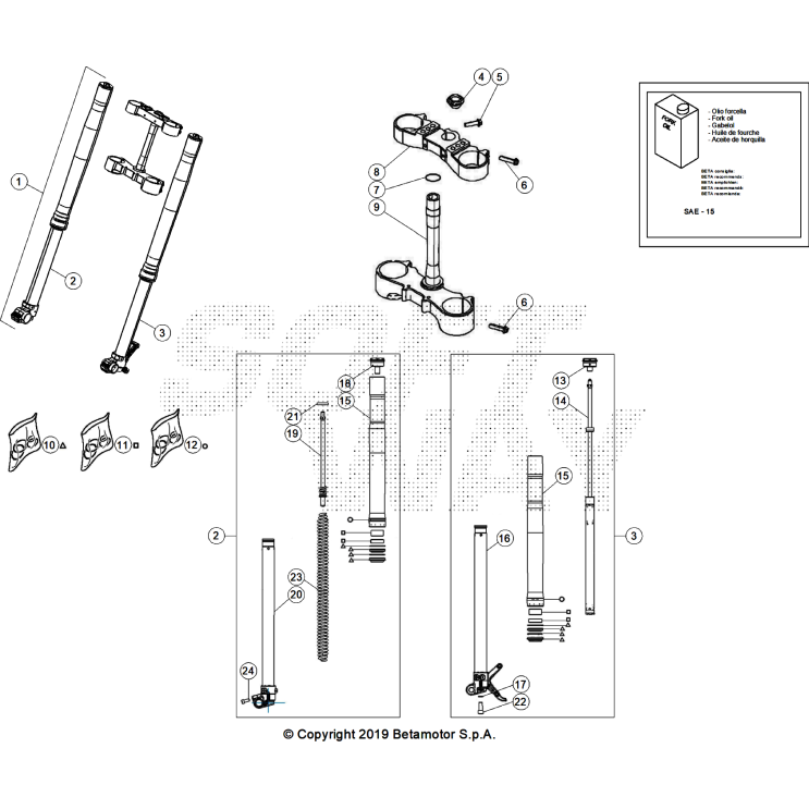 FOURCHE 250 XTRAINER 2025